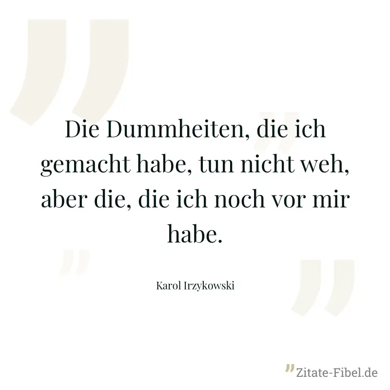 Die Dummheiten, die ich gemacht habe, tun nicht weh, aber die, die ich noch vor mir habe. - Karol Irzykowski