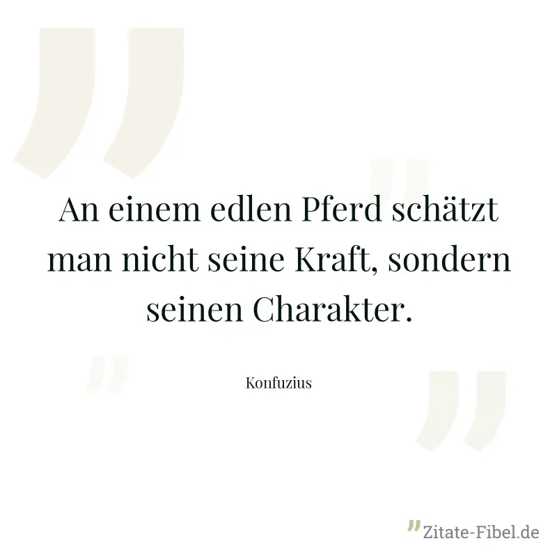 An einem edlen Pferd schätzt man nicht seine Kraft, sondern seinen Charakter. - Konfuzius