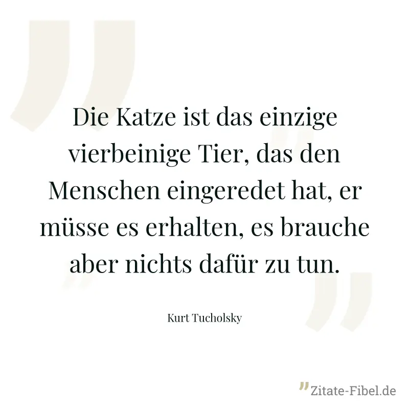 Die Katze ist das einzige vierbeinige Tier, das den Menschen eingeredet hat, er müsse es erhalten, es brauche aber nichts dafür zu tun. - Kurt Tucholsky