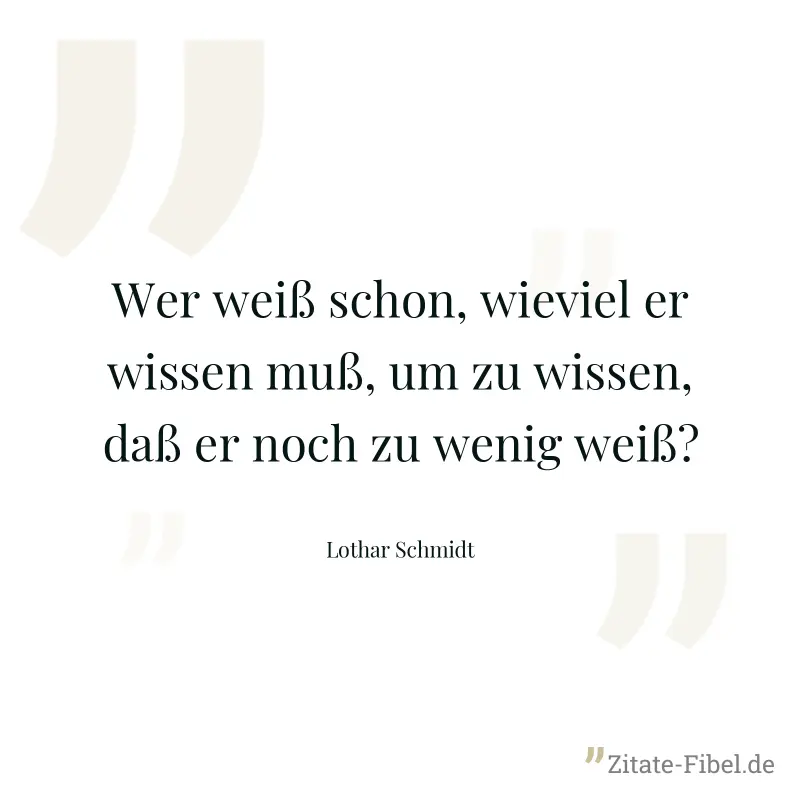 Wer weiß schon, wieviel er wissen muß, um zu wissen, daß er noch zu wenig weiß? - Lothar Schmidt