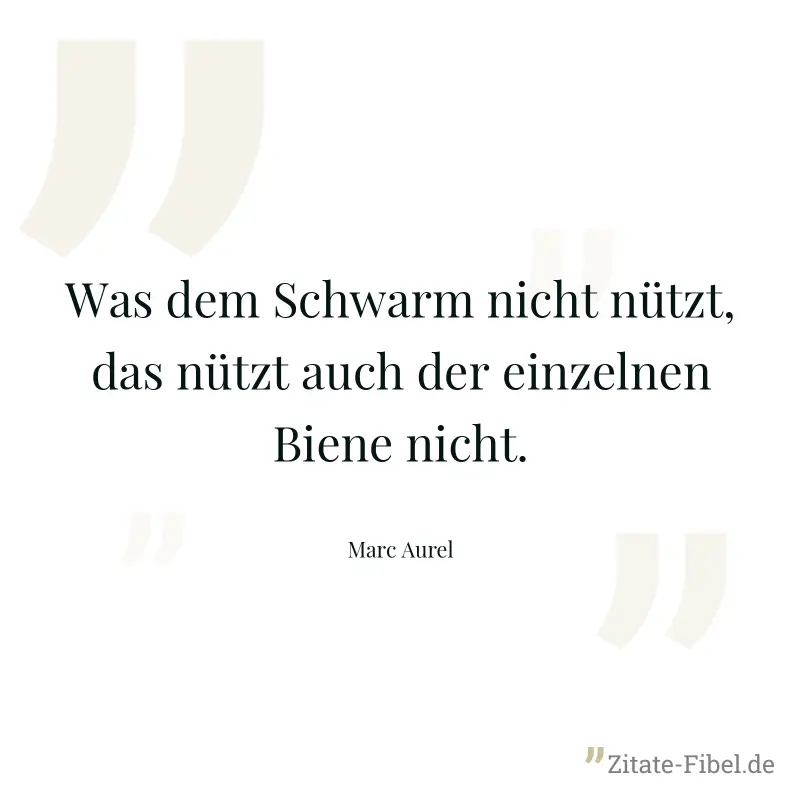 Was dem Schwarm nicht nützt, das nützt auch der einzelnen Biene nicht. - Marc Aurel