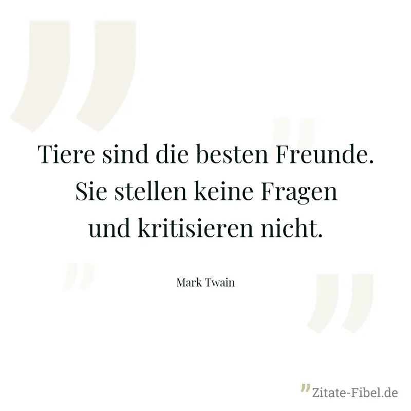 Tiere sind die besten Freunde. Sie stellen keine Fragen und kritisieren nicht. - Mark Twain