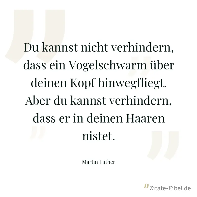 Du kannst nicht verhindern, dass ein Vogelschwarm über deinen Kopf hinwegfliegt. Aber du kannst verhindern, dass er in deinen Haaren nistet. - Martin Luther