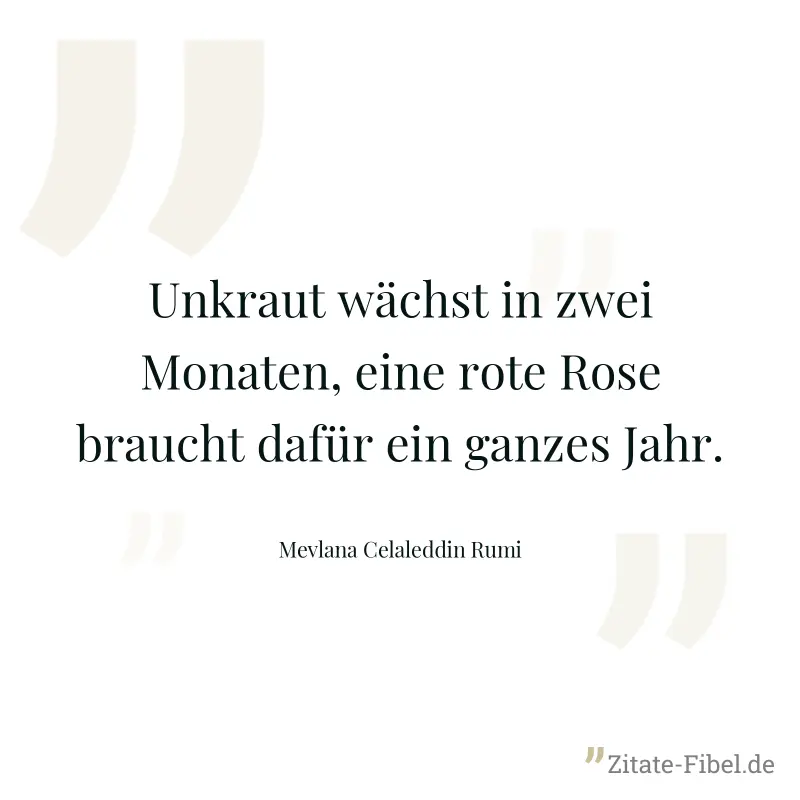 Unkraut wächst in zwei Monaten, eine rote Rose braucht dafür ein ganzes Jahr. - Mevlana Celaleddin Rumi