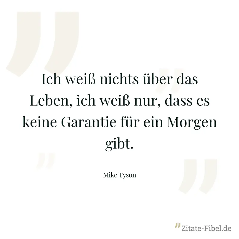 Ich weiß nichts über das Leben, ich weiß nur, dass es keine Garantie für ein Morgen gibt. - Mike Tyson