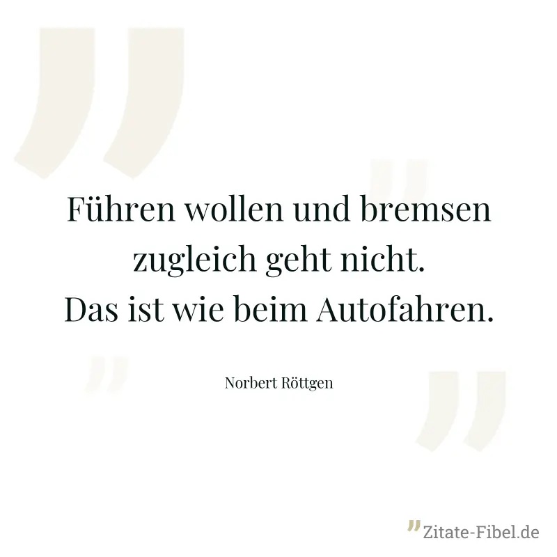 Führen wollen und bremsen zugleich geht nicht. Das ist wie beim Autofahren. - Norbert Röttgen