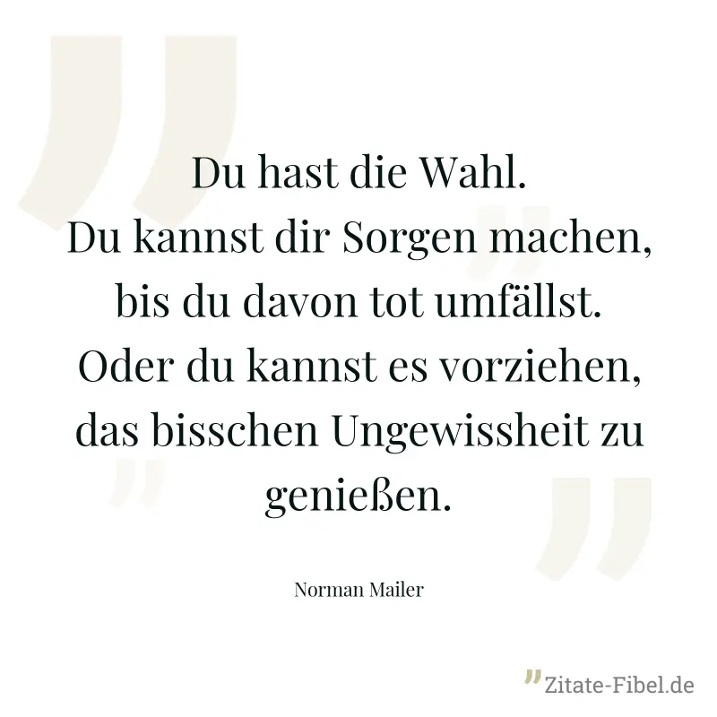 Du hast die Wahl. Du kannst dir Sorgen machen, bis du davon tot umfällst. Oder du kannst es vorziehen, das bisschen Ungewissheit zu genießen. - Norman Mailer