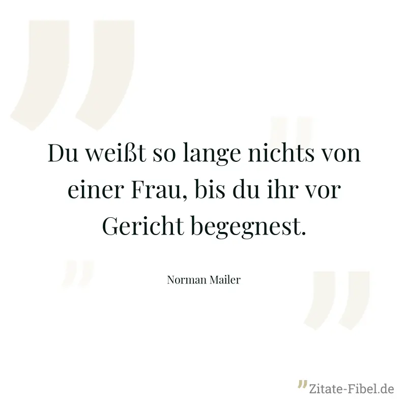 Du weißt so lange nichts von einer Frau, bis du ihr vor Gericht begegnest. - Norman Mailer