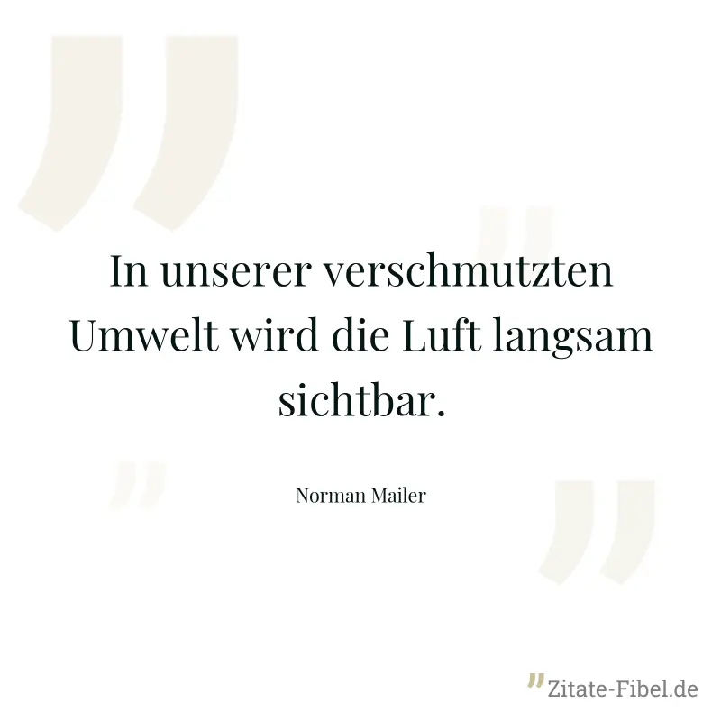 In unserer verschmutzten Umwelt wird die Luft langsam sichtbar. - Norman Mailer