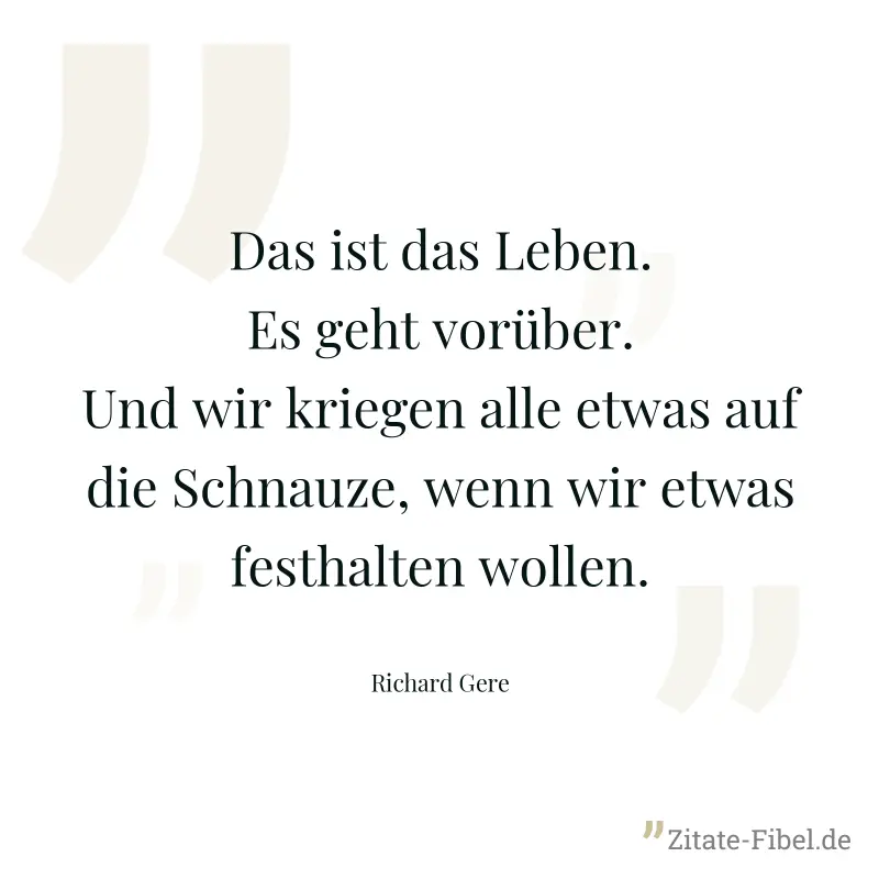 Das ist das Leben. Es geht vorüber. Und wir kriegen alle etwas auf die Schnauze, wenn wir etwas festhalten wollen. - Richard Gere
