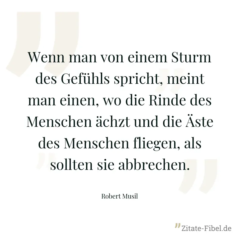 Wenn man von einem Sturm des Gefühls spricht, meint man einen, wo die Rinde des Menschen ächzt und die Äste des Menschen fliegen, als sollten sie abbrechen. - Robert Musil