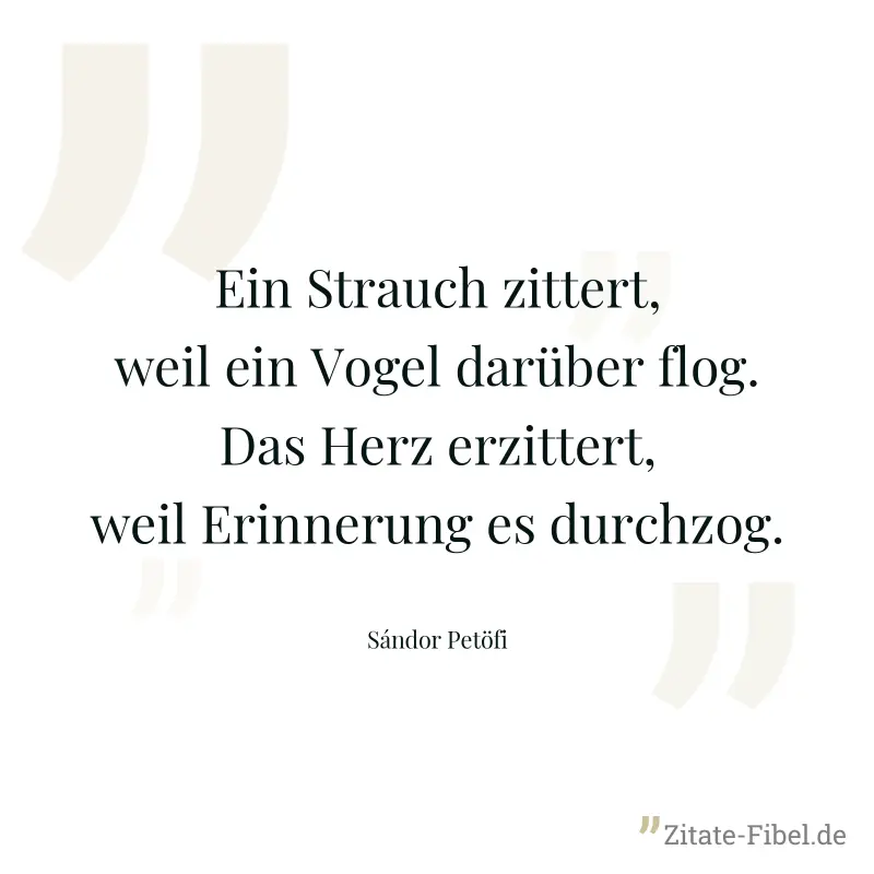 Ein Strauch zittert, weil ein Vogel darüber flog. Das Herz erzittert, weil Erinnerung es durchzog. - Sándor Petöfi