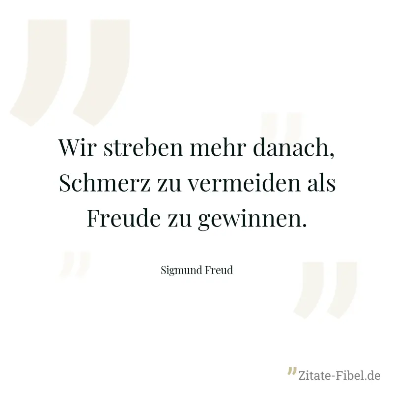 Wir streben mehr danach, Schmerz zu vermeiden als Freude zu gewinnen.