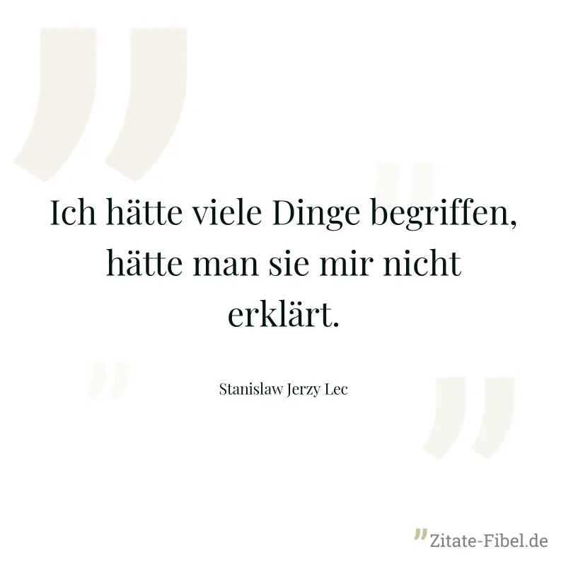Ich hätte viele Dinge begriffen, hätte man sie mir nicht erklärt. - Stanislaw Jerzy Lec