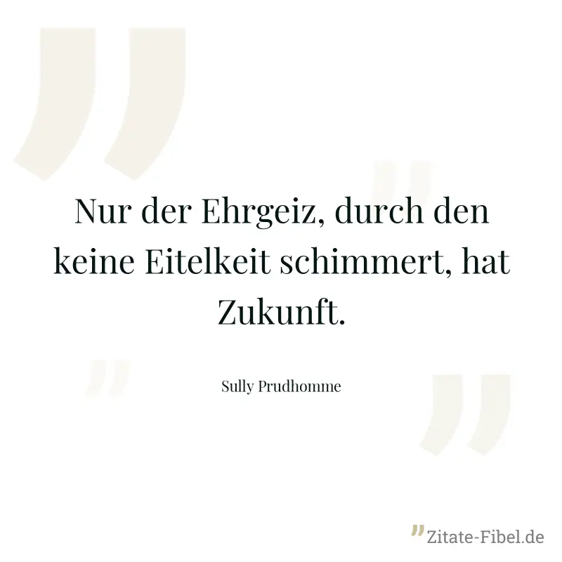 Nur der Ehrgeiz, durch den keine Eitelkeit schimmert, hat Zukunft. - Sully Prudhomme