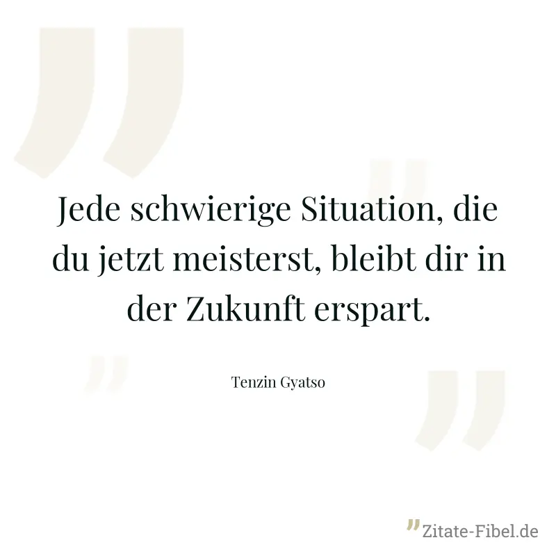 Jede schwierige Situation, die du jetzt meisterst, bleibt dir in der Zukunft erspart. - Tenzin Gyatso