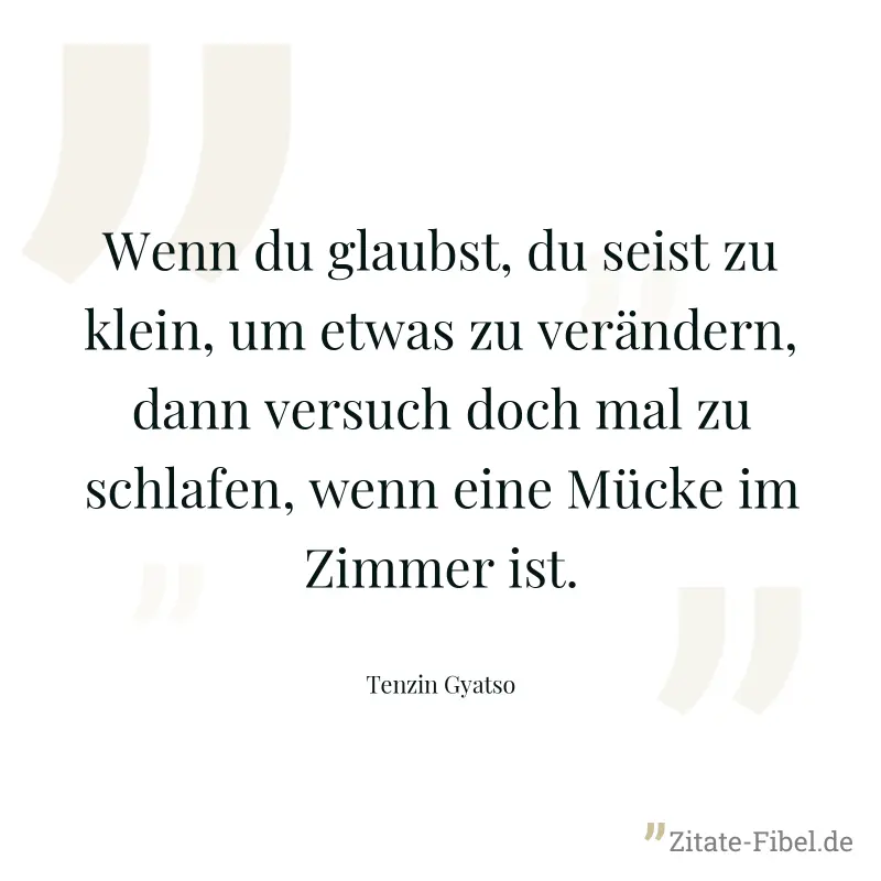 Wenn du glaubst, du seist zu klein, um etwas zu verändern, dann versuch doch mal zu schlafen, wenn eine Mücke im Zimmer ist. - Tenzin Gyatso