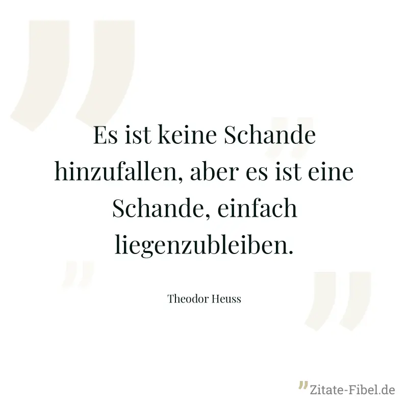 Es ist keine Schande hinzufallen, aber es ist eine Schande, einfach liegenzubleiben. - Theodor Heuss