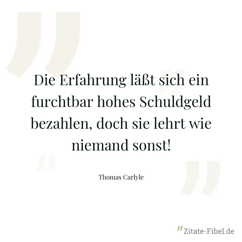 Die Erfahrung läßt sich ein furchtbar hohes Schuldgeld bezahlen, doch sie lehrt wie niemand sonst! - Thomas Carlyle