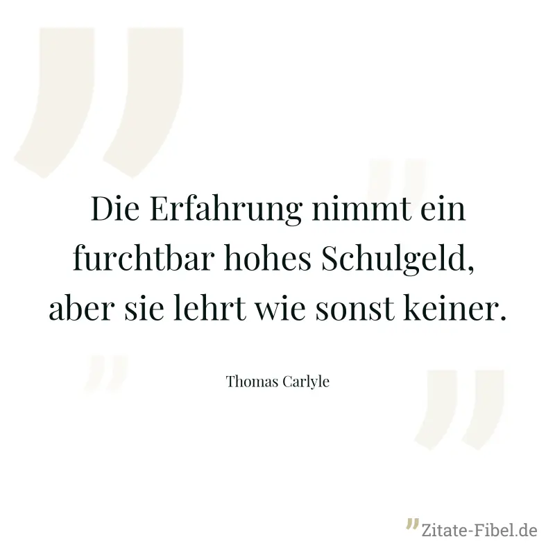 Die Erfahrung nimmt ein furchtbar hohes Schulgeld,  aber sie lehrt wie sonst keiner. - Thomas Carlyle