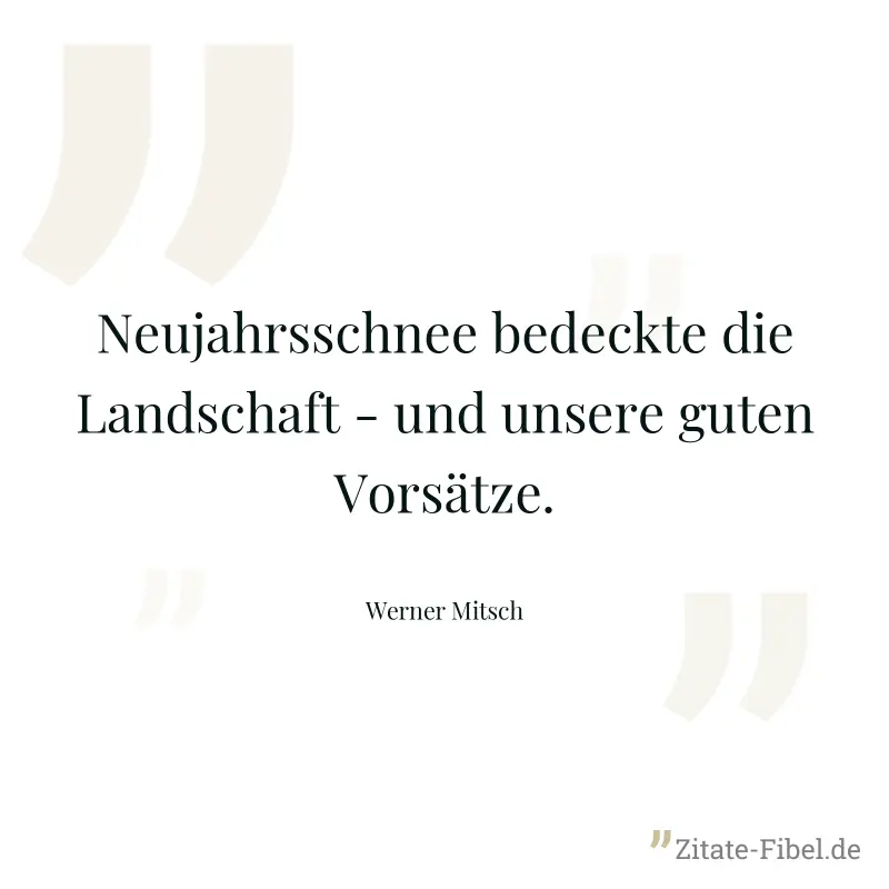 Neujahrsschnee bedeckte die Landschaft - und unsere guten Vorsätze. - Werner Mitsch