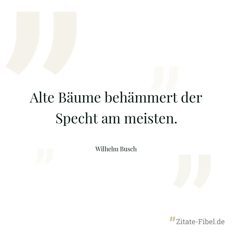 Alte Bäume behämmert der Specht am meisten. - Wilhelm Busch