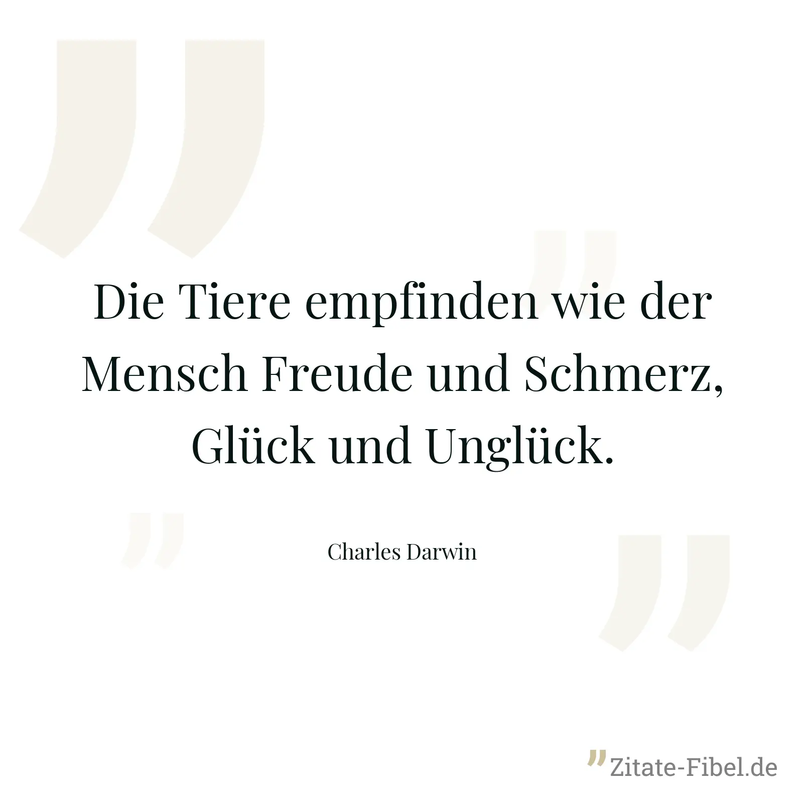 Die Tiere empfinden wie der Mensch Freude und Schmerz, Glück und Unglück. - Charles Darwin
