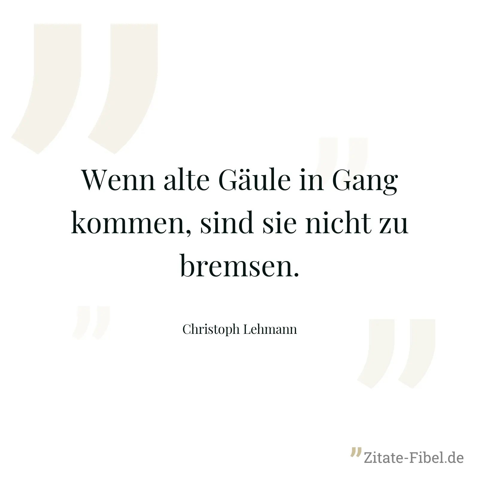 Wenn alte Gäule in Gang kommen, sind sie nicht zu bremsen. - Christoph Lehmann