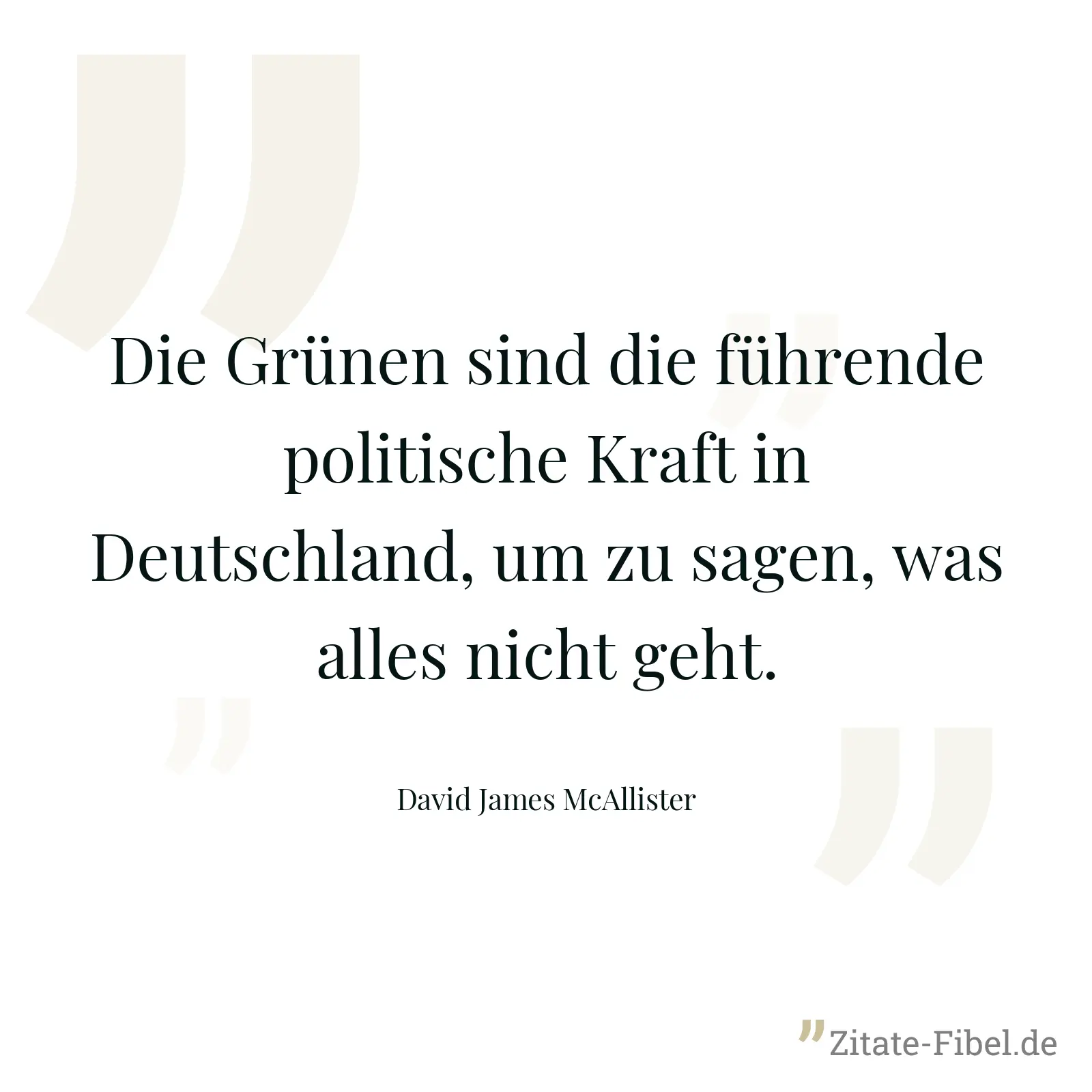 Die Grünen sind die führende politische Kraft in Deutschland, um zu sagen, was alles nicht geht. - David James McAllister