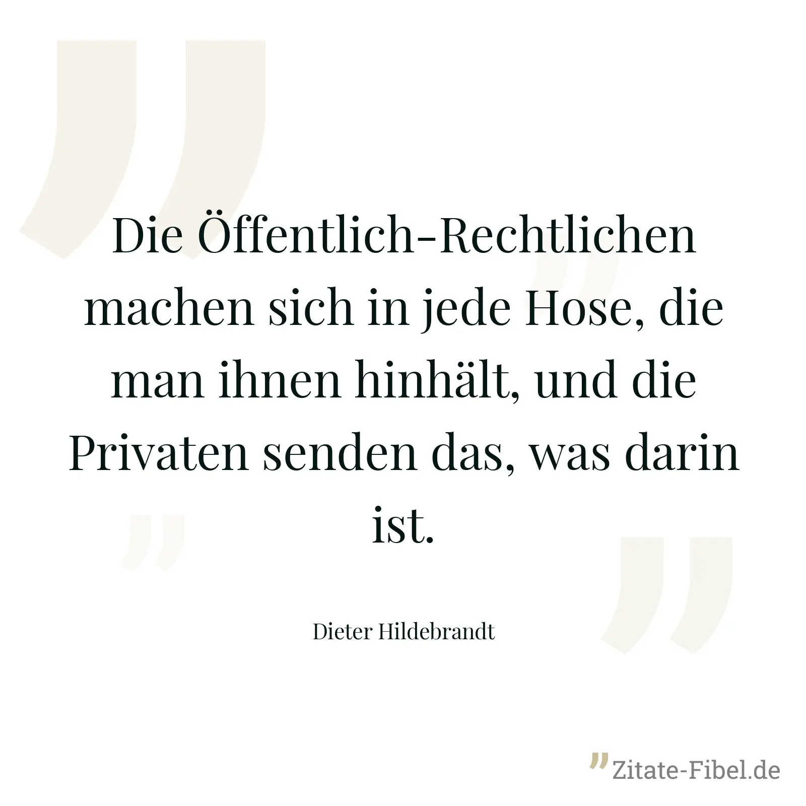 Die Öffentlich-Rechtlichen machen sich in jede Hose, die man ihnen hinhält, und die Privaten senden das, was darin ist. - Dieter Hildebrandt