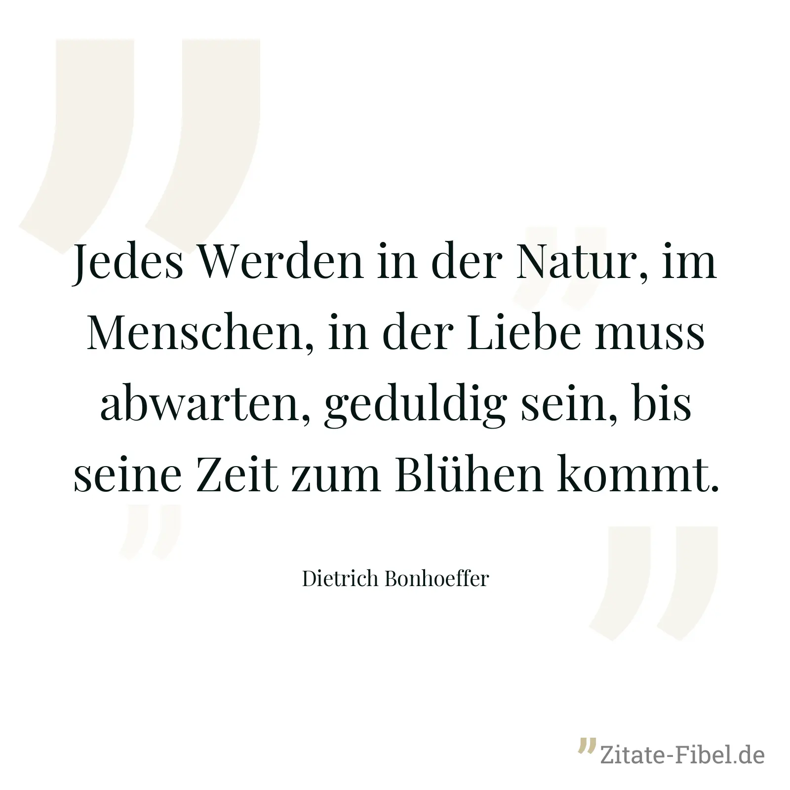 Jedes Werden in der Natur, im Menschen, in der Liebe muss abwarten, geduldig sein, bis seine Zeit zum Blühen kommt. - Dietrich Bonhoeffer