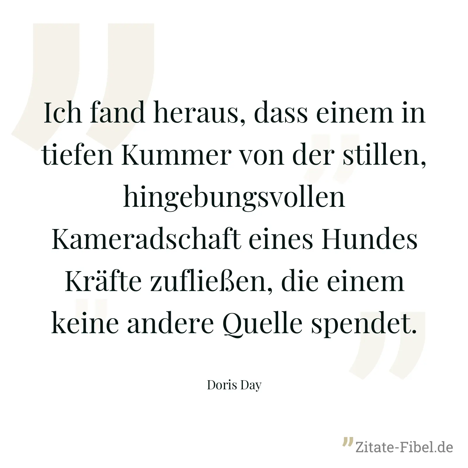 Ich fand heraus, dass einem in tiefen Kummer von der stillen, hingebungsvollen Kameradschaft eines Hundes Kräfte zufließen, die einem keine andere Quelle spendet. - Doris Day