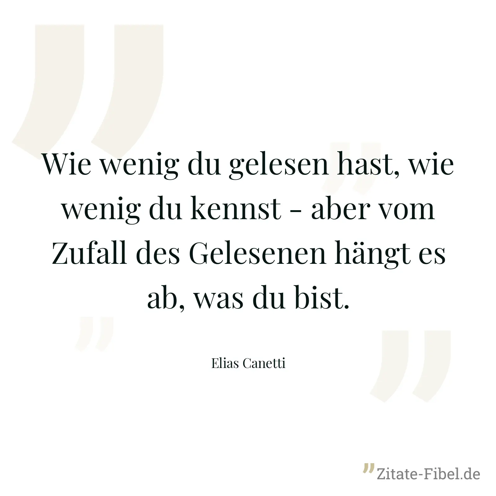 Wie wenig du gelesen hast, wie wenig du kennst - aber vom Zufall des Gelesenen hängt es ab, was du bist. - Elias Canetti