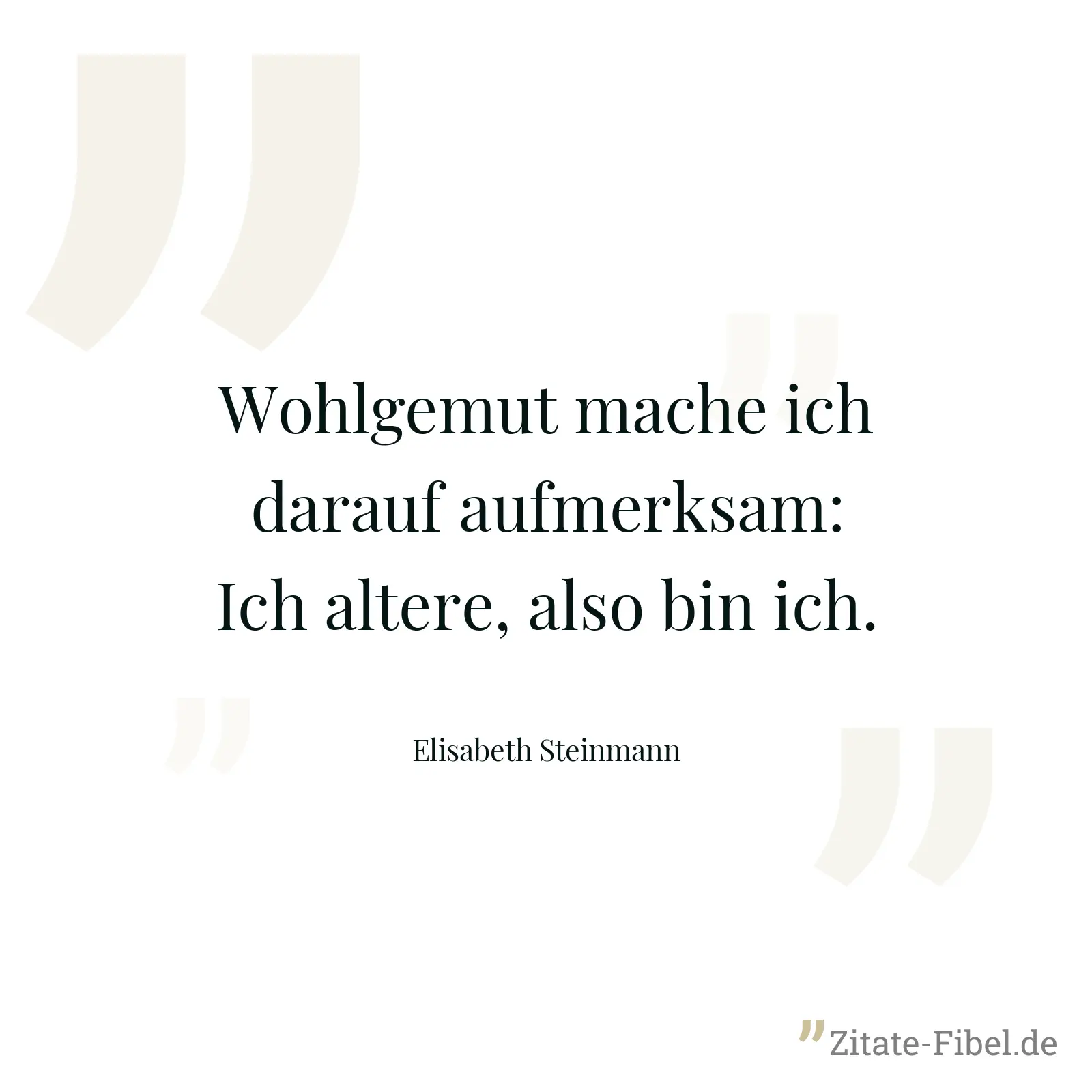 Wohlgemut mache ich darauf aufmerksam: Ich altere, also bin ich. - Elisabeth Steinmann