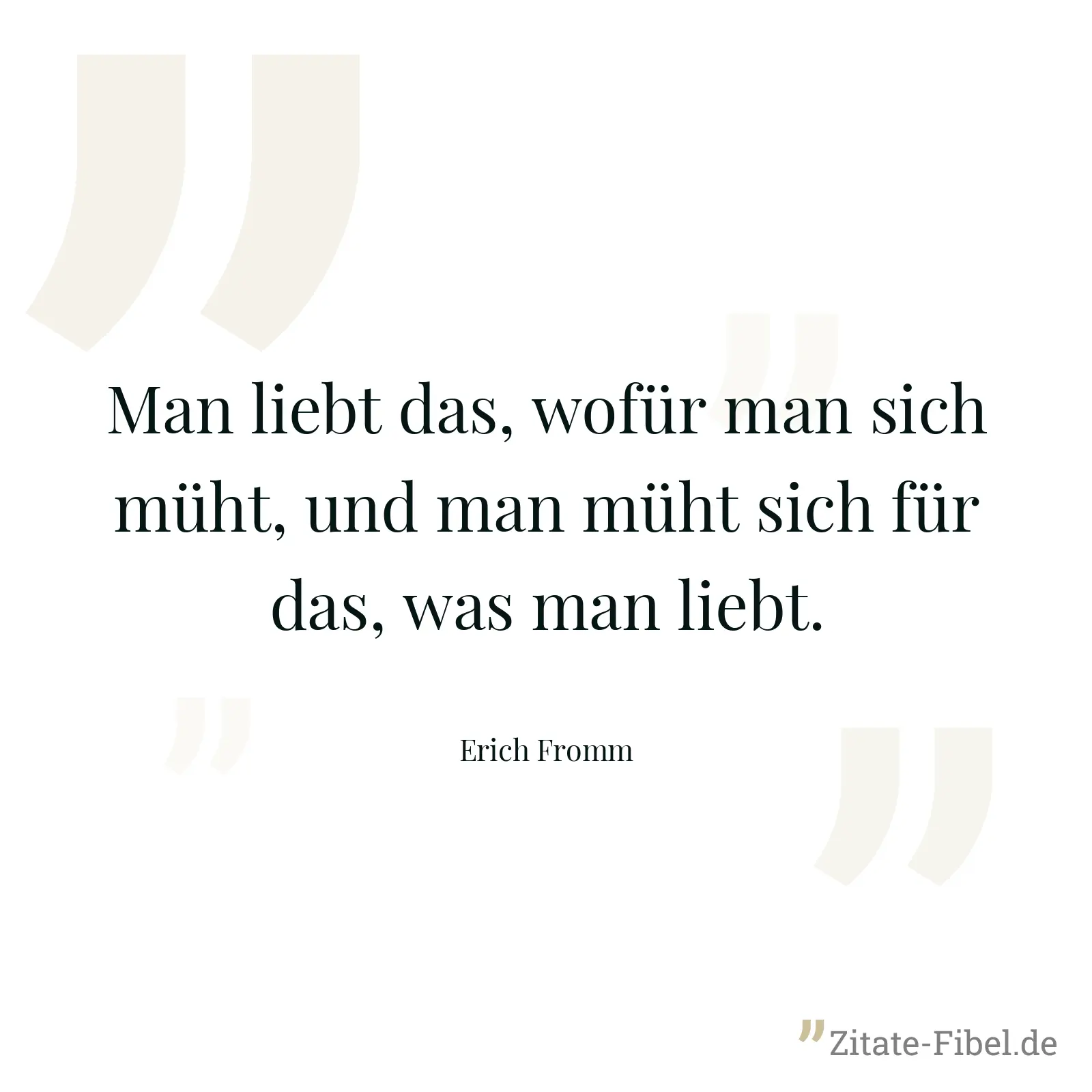 Man liebt das, wofür man sich müht, und man müht sich für das, was man liebt. - Erich Fromm