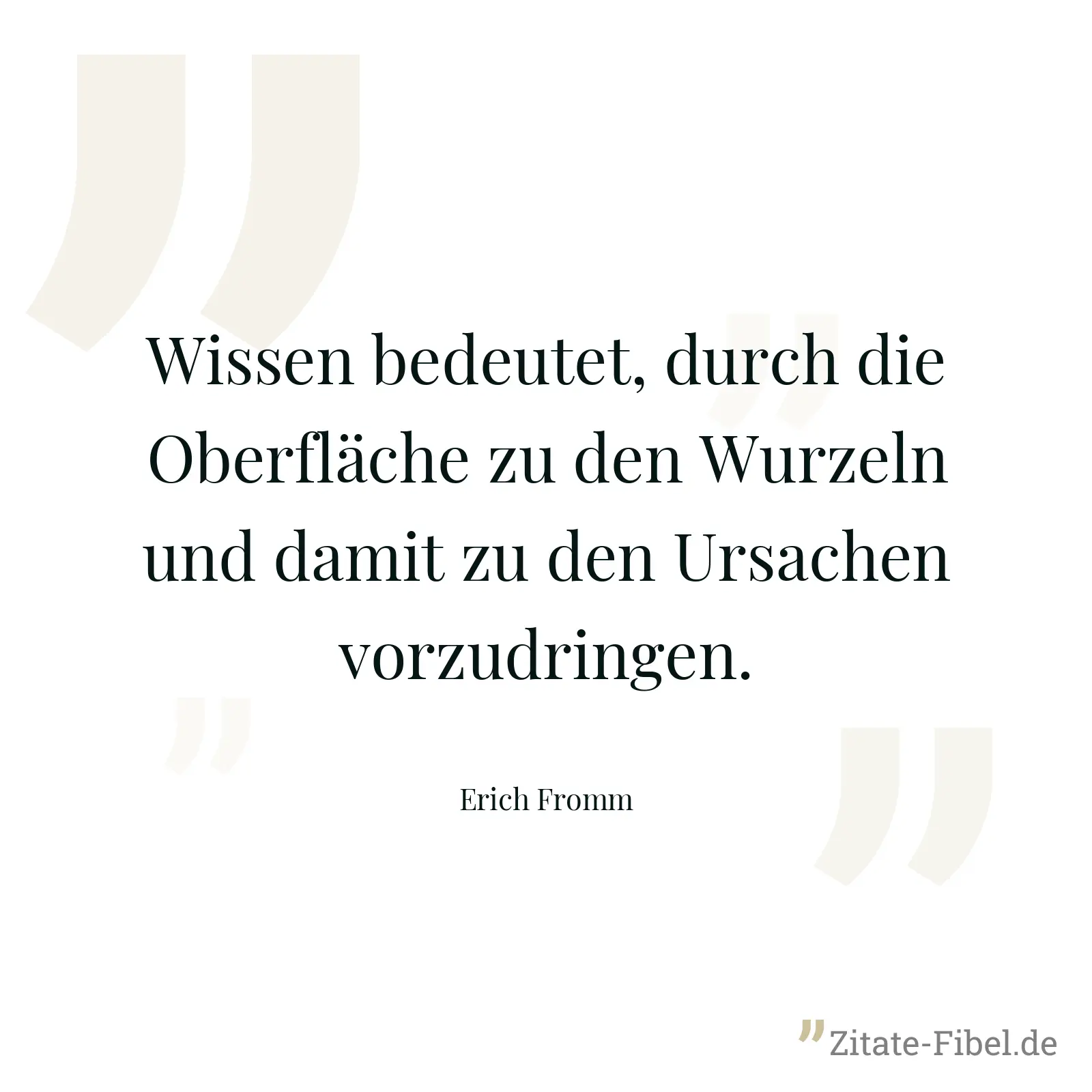 Wissen bedeutet, durch die Oberfläche zu den Wurzeln und damit zu den Ursachen vorzudringen. - Erich Fromm