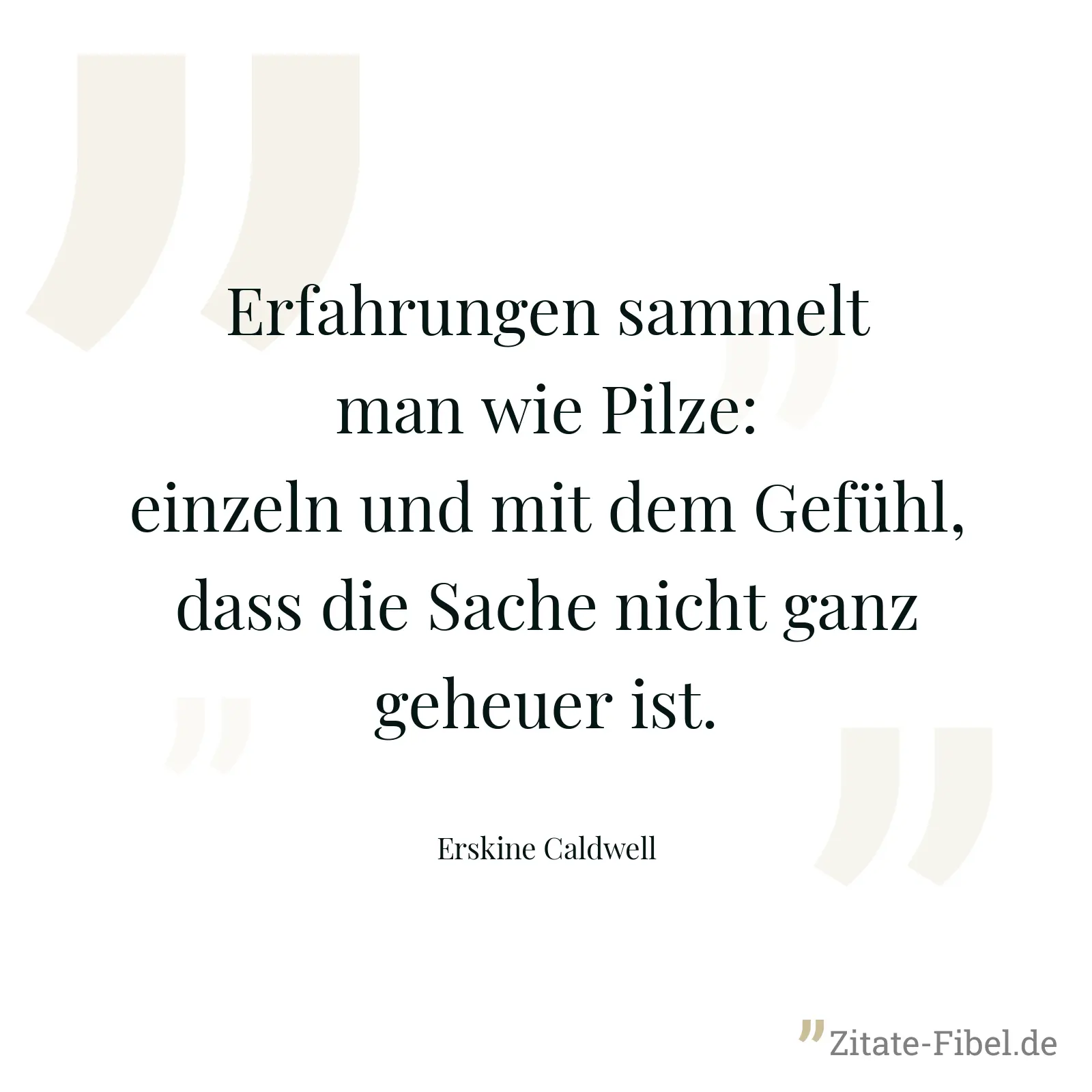 Erfahrungen sammelt man wie Pilze: einzeln und mit dem Gefühl, dass die Sache nicht ganz geheuer ist. - Erskine Caldwell