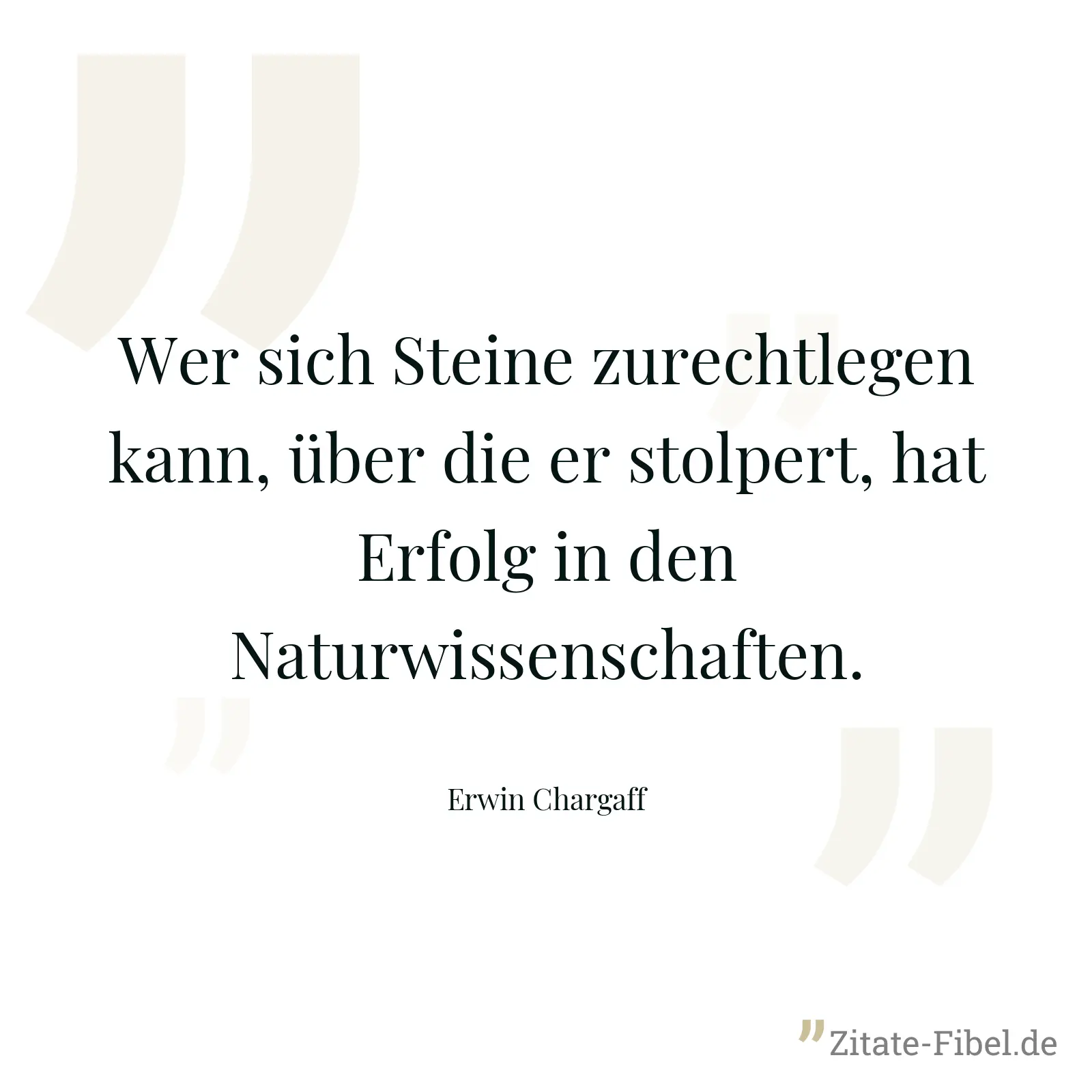 Wer sich Steine zurechtlegen kann, über die er stolpert, hat Erfolg in den Naturwissenschaften. - Erwin Chargaff