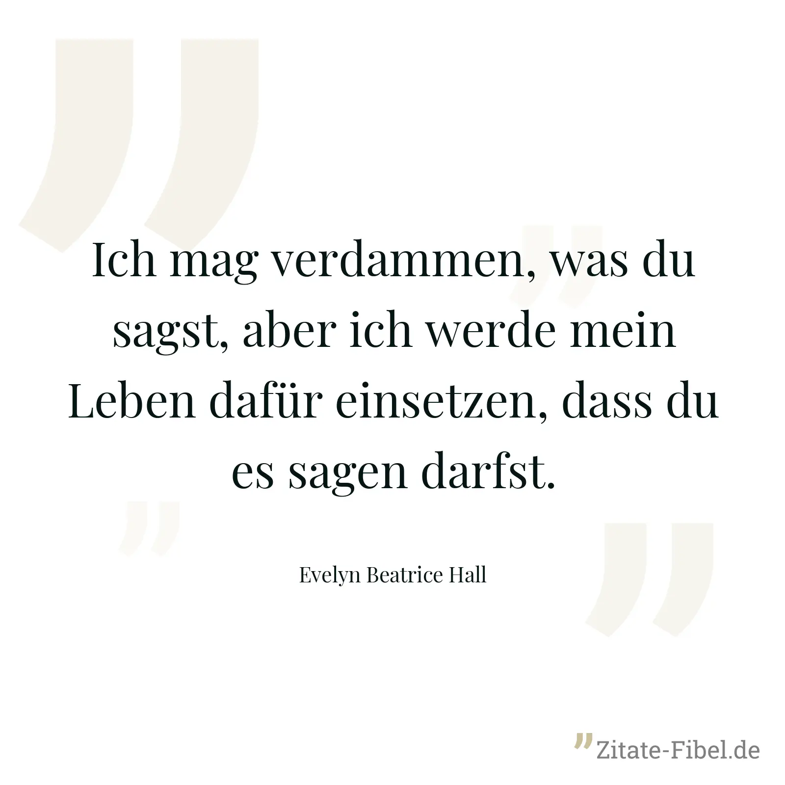 Ich mag verdammen, was du sagst, aber ich werde mein Leben dafür einsetzen, dass du es sagen darfst. - Evelyn Beatrice Hall