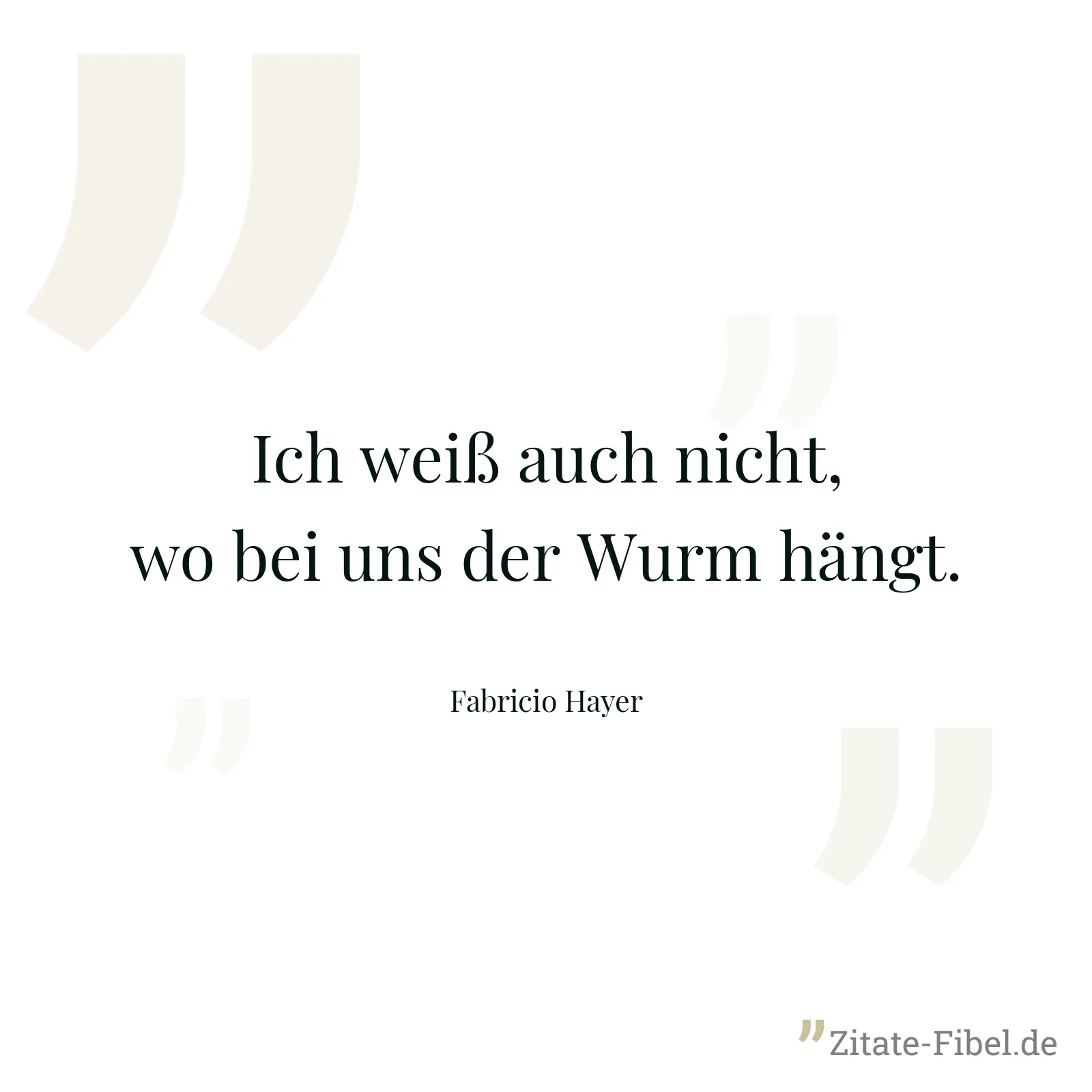 Ich weiß auch nicht, wo bei uns der Wurm hängt. - Fabricio Hayer