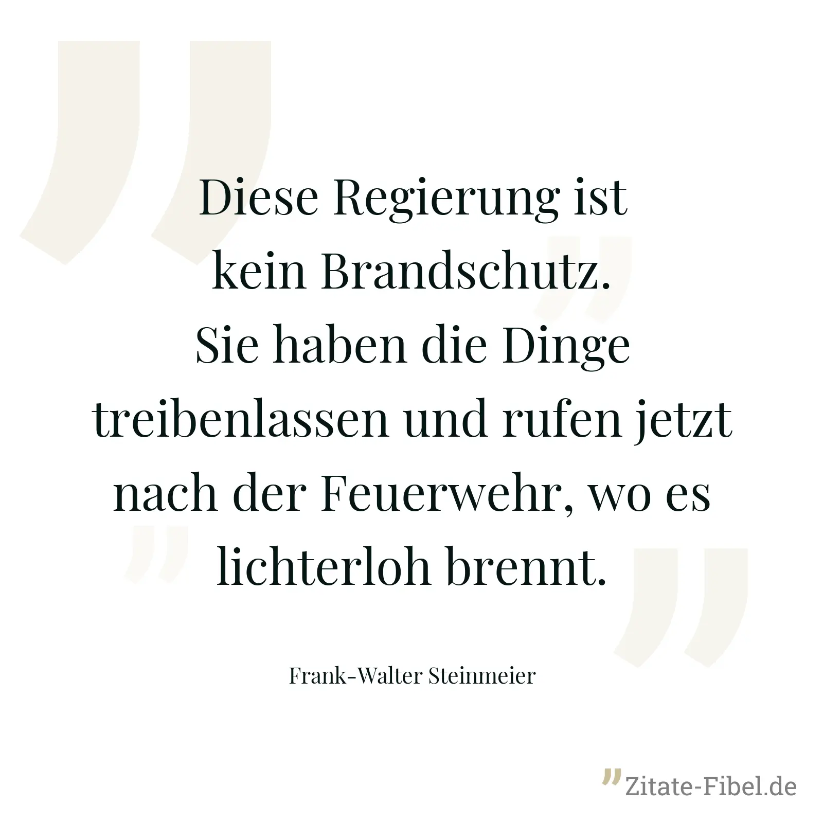 Diese Regierung ist kein Brandschutz. Sie haben die Dinge treibenlassen und rufen jetzt nach der Feuerwehr, wo es lichterloh brennt. - Frank-Walter Steinmeier