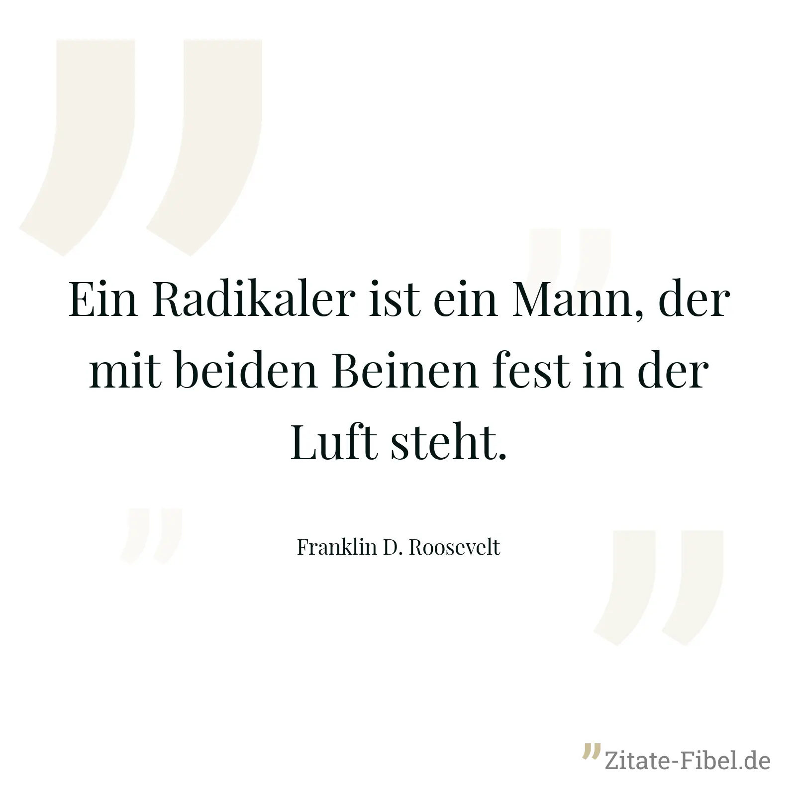 Ein Radikaler ist ein Mann, der mit beiden Beinen fest in der Luft steht. - Franklin D. Roosevelt