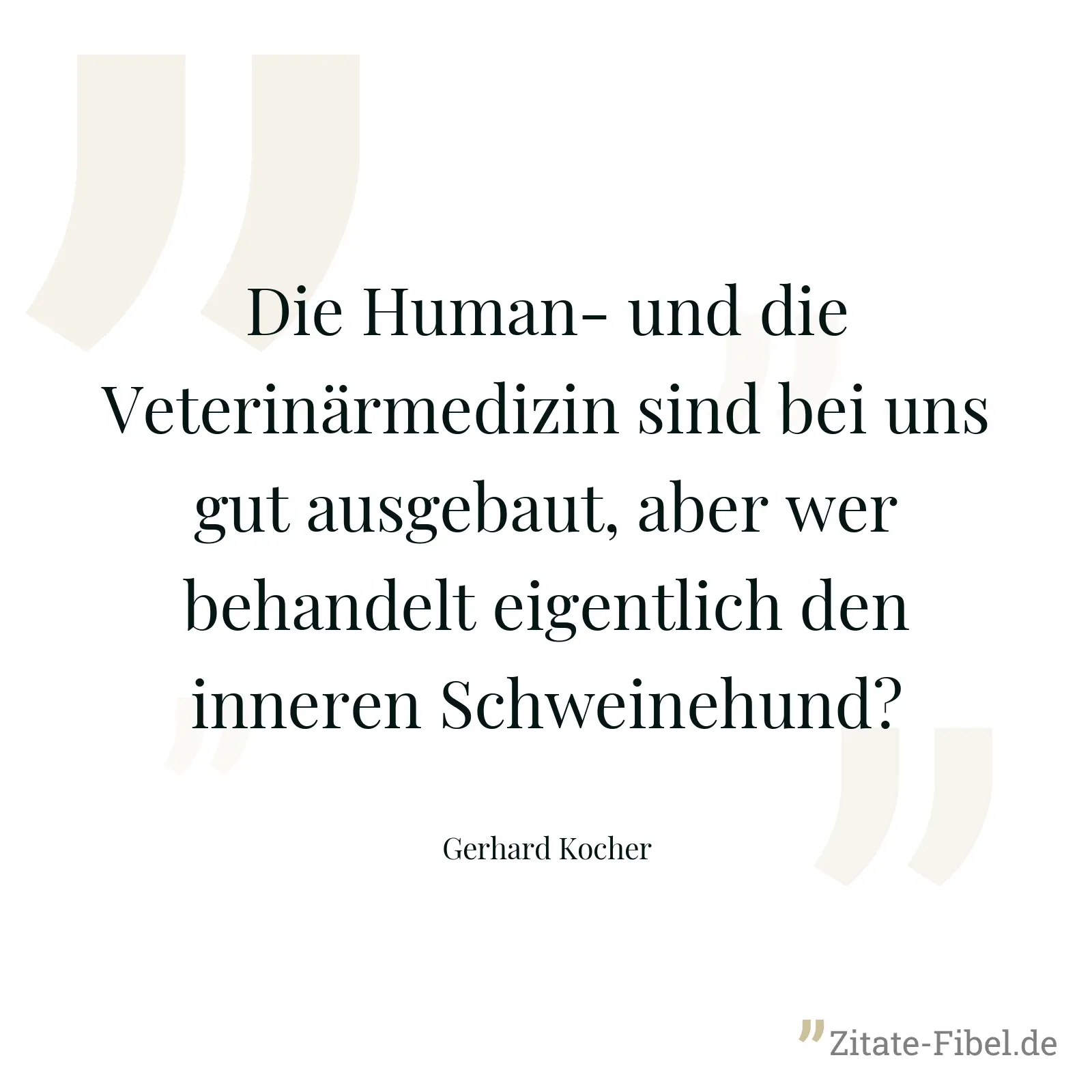 Die Human- und die Veterinärmedizin sind bei uns gut ausgebaut, aber wer behandelt eigentlich den inneren Schweinehund? - Gerhard Kocher
