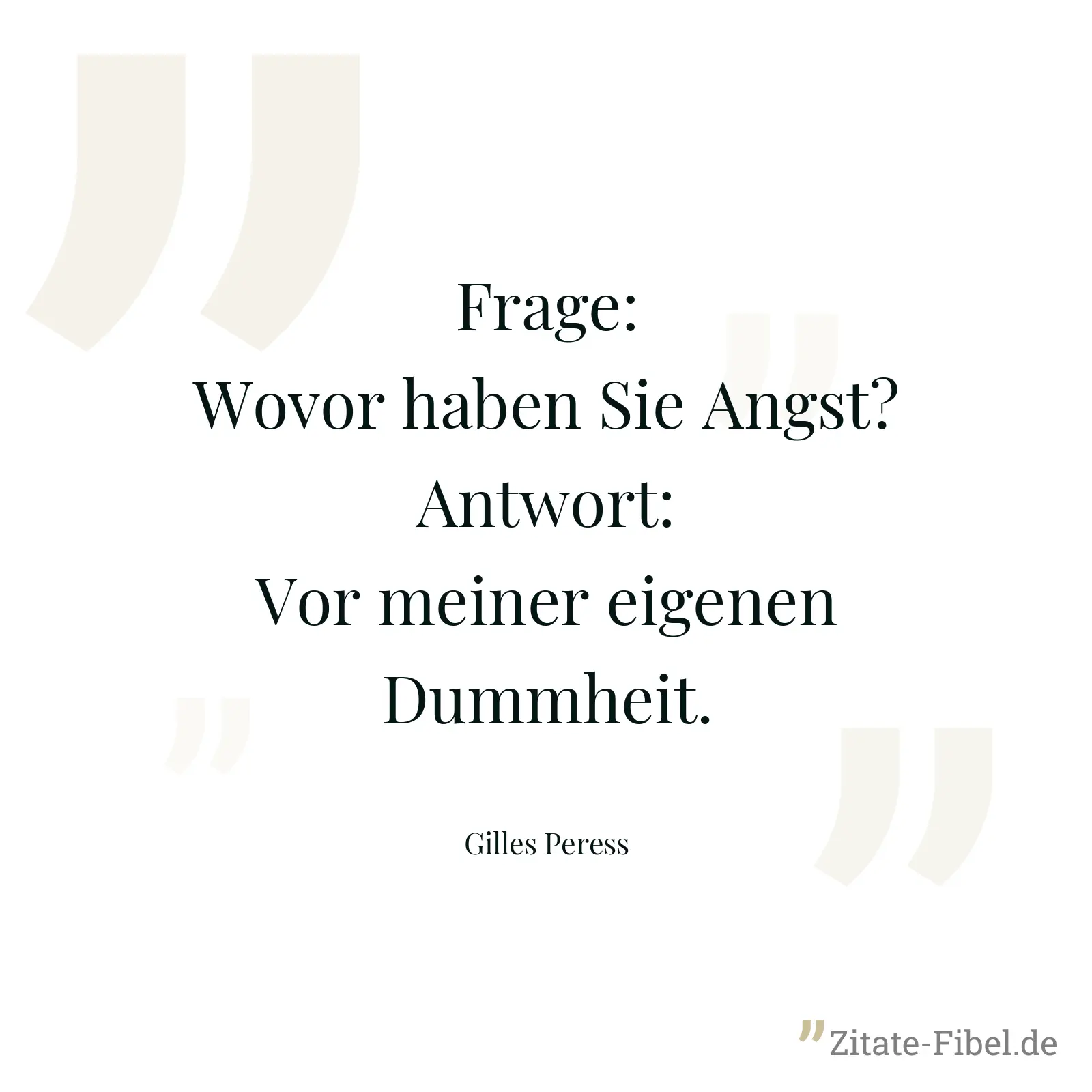 Frage: Wovor haben Sie Angst? Antwort: Vor meiner eigenen Dummheit. - Gilles Peress