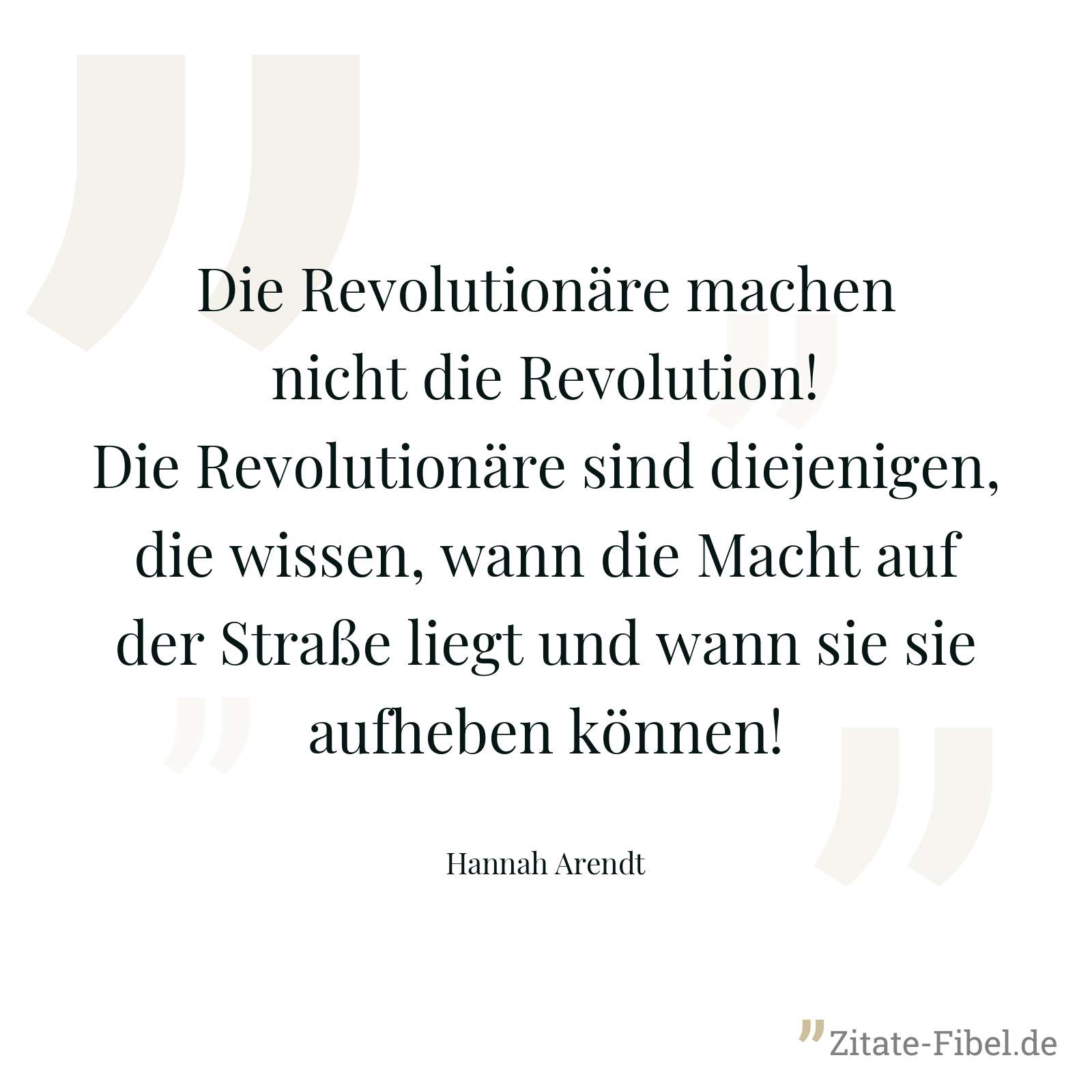 Die Revolutionäre machen nicht die Revolution! Die Revolutionäre sind diejenigen, die wissen, wann die Macht auf der Straße liegt und wann sie sie aufheben können! - Hannah Arendt