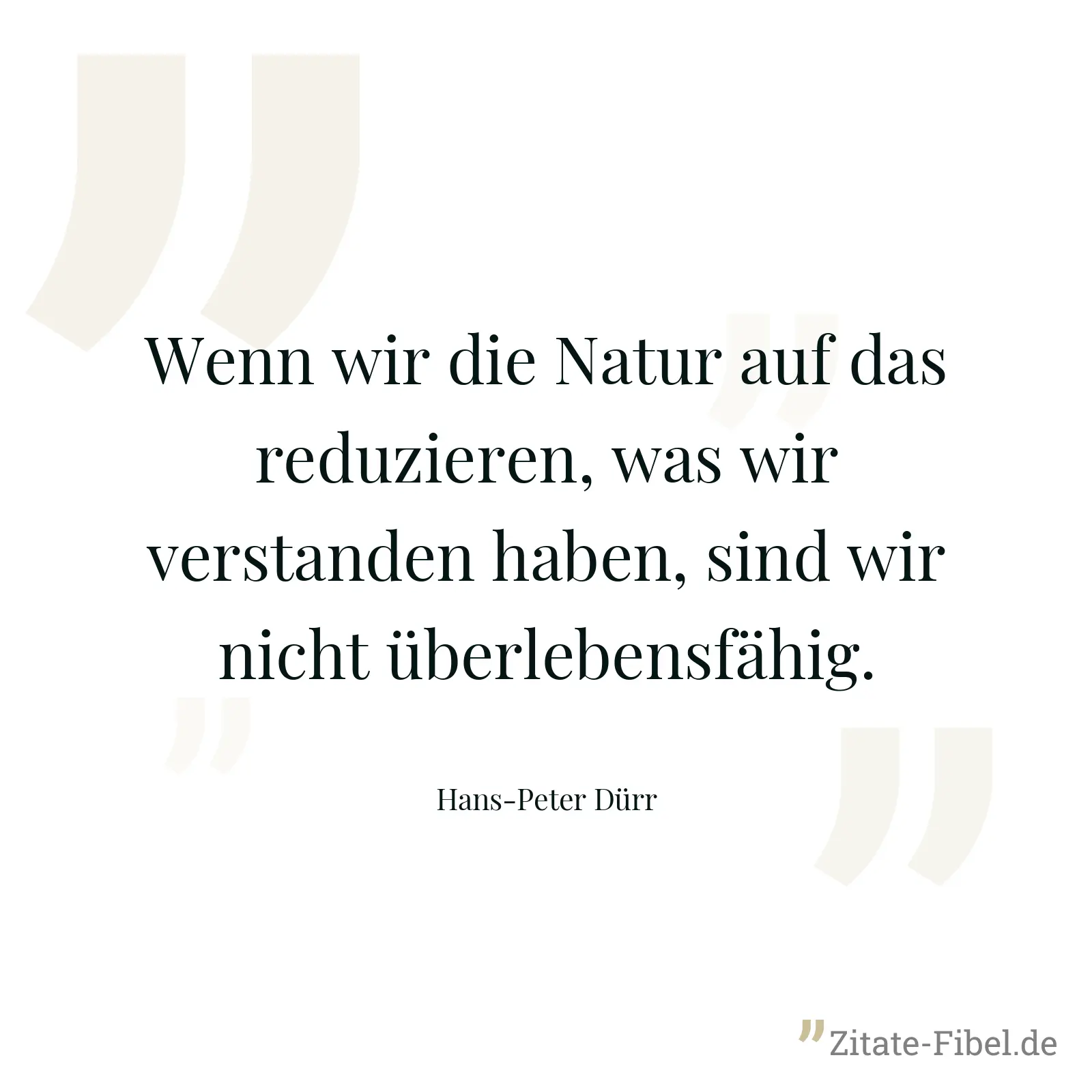 Wenn wir die Natur auf das reduzieren, was wir verstanden haben, sind wir nicht überlebensfähig. - Hans-Peter Dürr