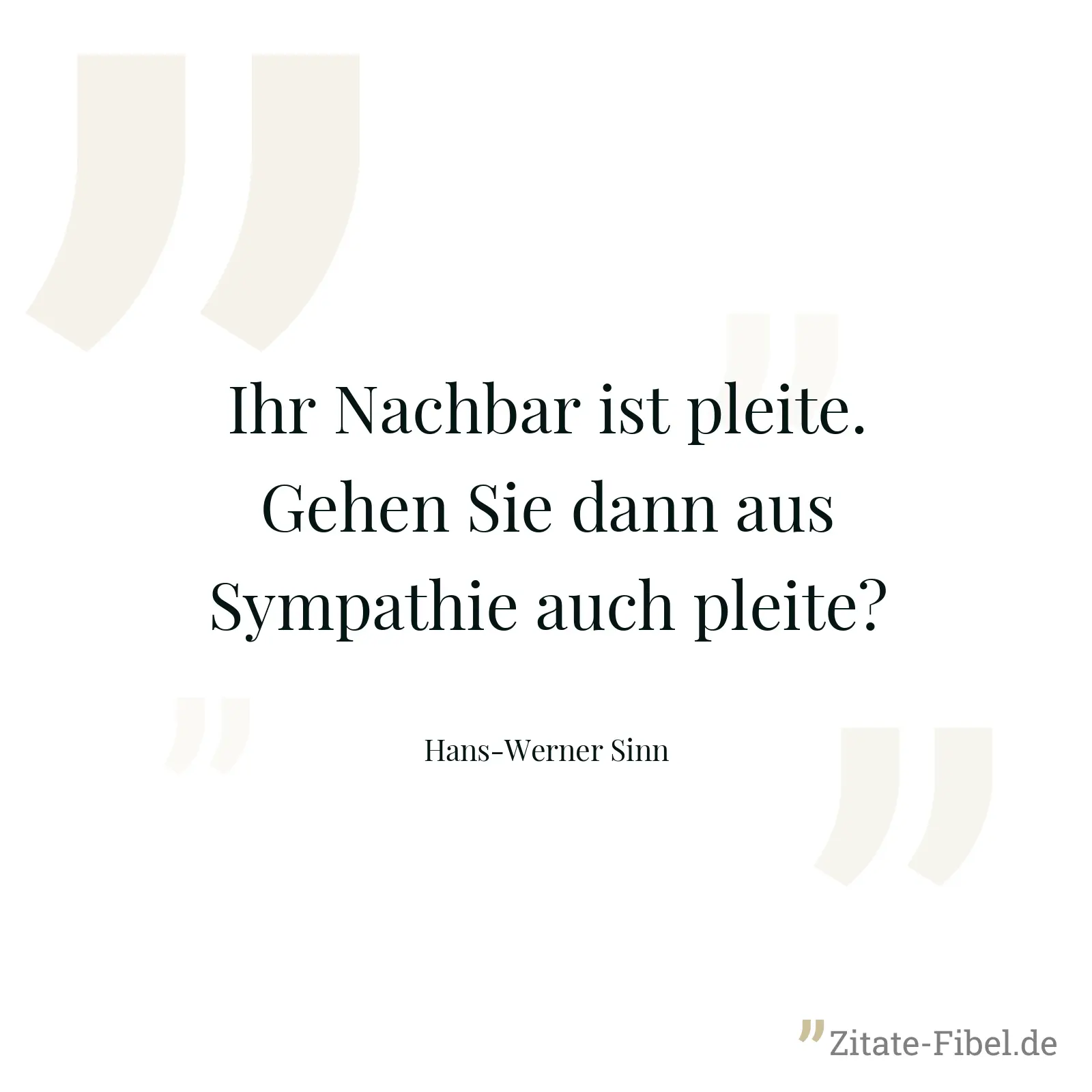 Ihr Nachbar ist pleite. Gehen Sie dann aus Sympathie auch pleite? - Hans-Werner Sinn