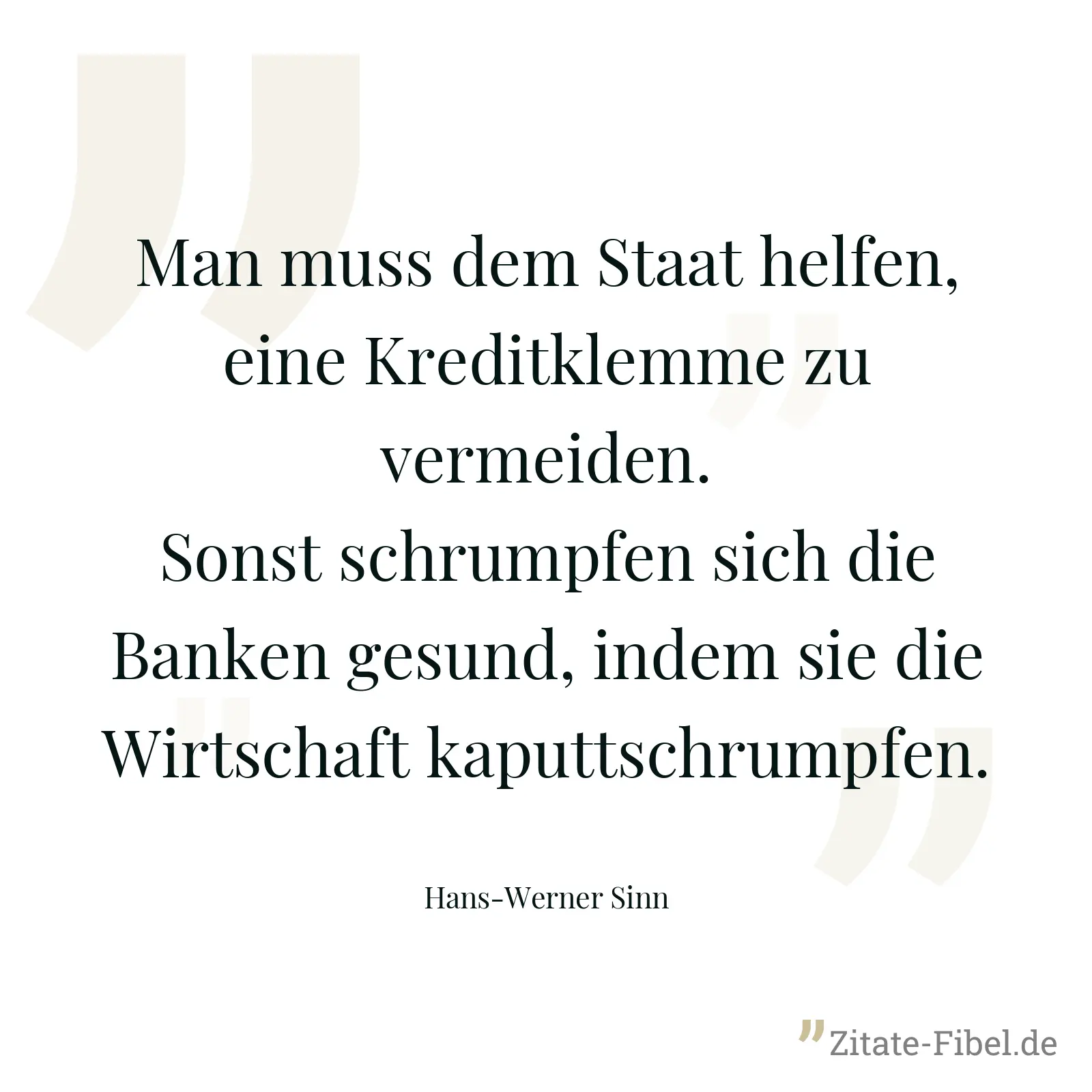 Man muss dem Staat helfen, eine Kreditklemme zu vermeiden. Sonst schrumpfen sich die Banken gesund, indem sie die Wirtschaft kaputtschrumpfen. - Hans-Werner Sinn