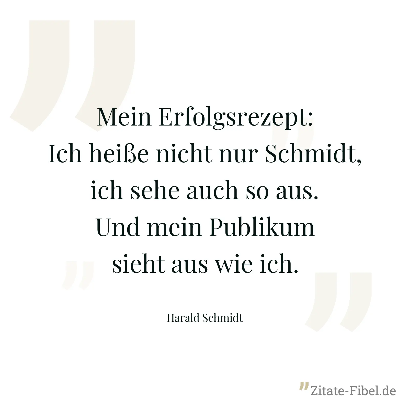 Mein Erfolgsrezept: Ich heiße nicht nur Schmidt, ich sehe auch so aus. Und mein Publikum sieht aus wie ich. - Harald Schmidt