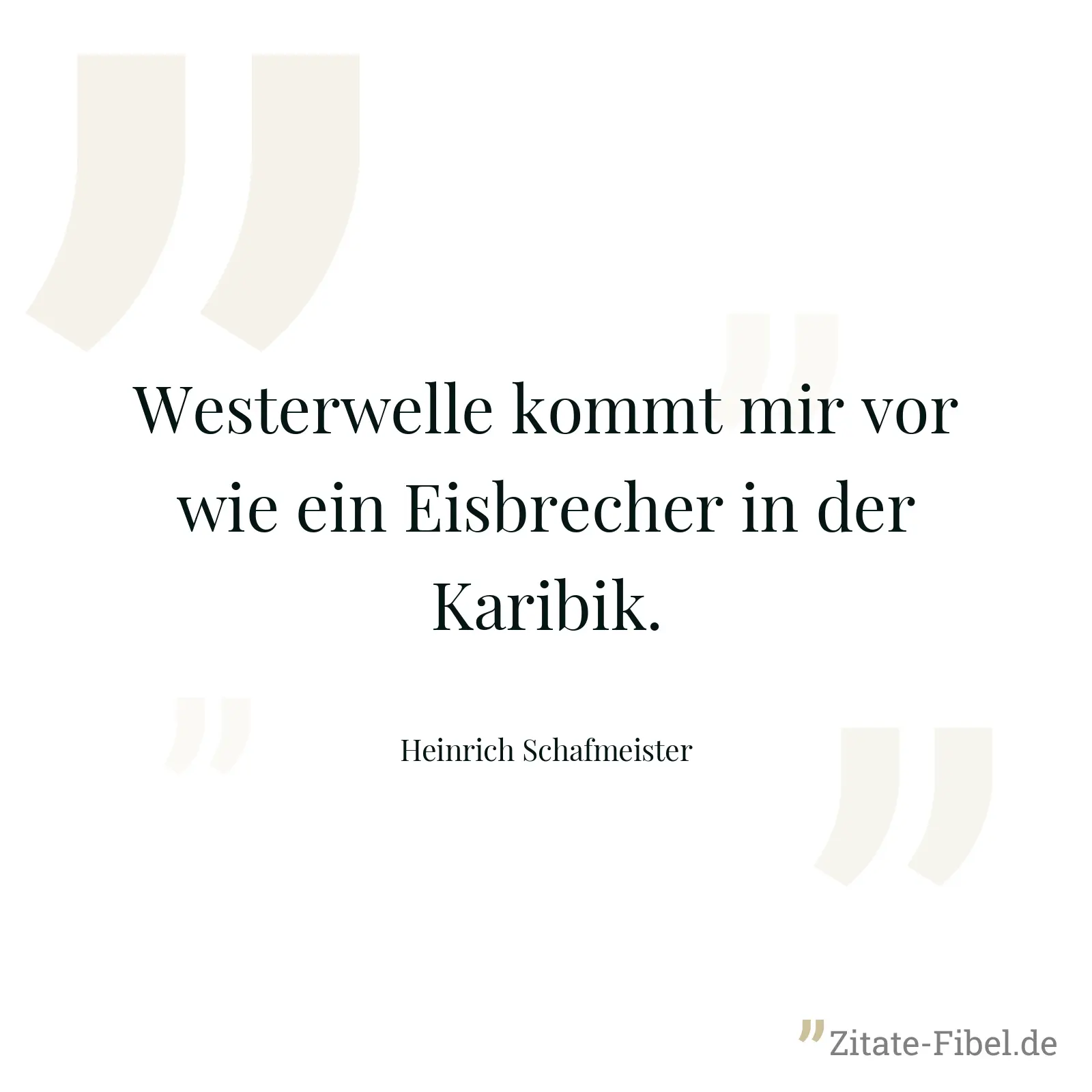 Westerwelle kommt mir vor wie ein Eisbrecher in der Karibik. - Heinrich Schafmeister